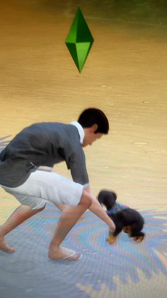 @Sims 4 stories