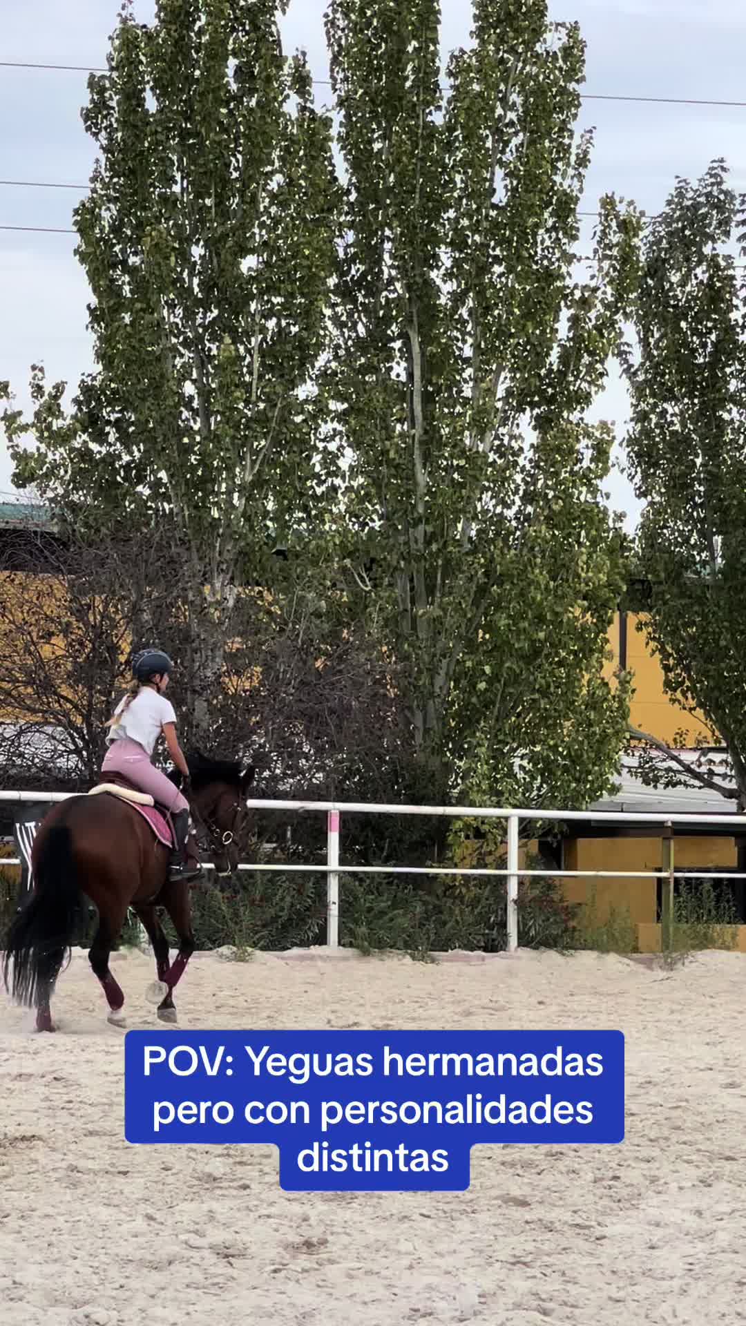 @MHA Teamriding