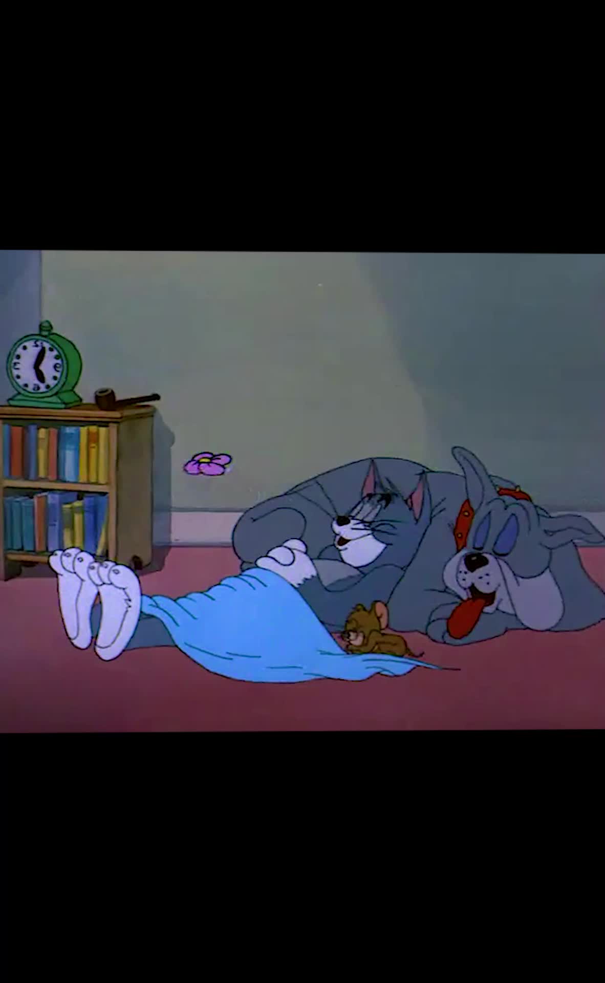 @Cartoonbb