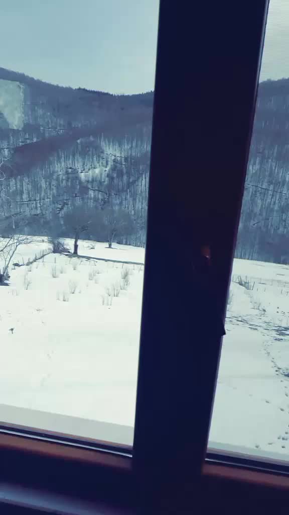 @Ceyhun.Srkya
