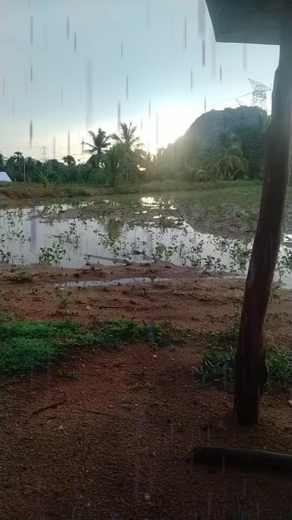@user9453167713465