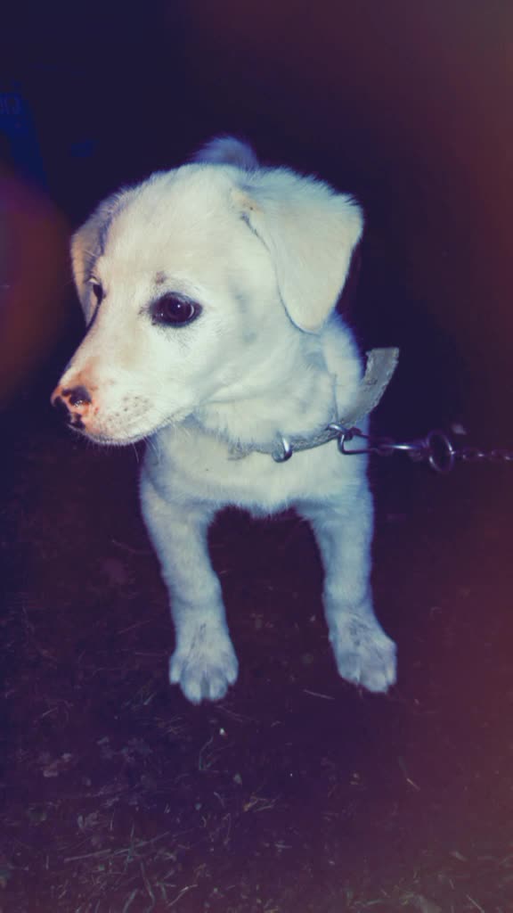 @sevil1903