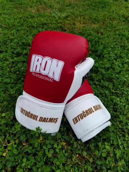 @THE IRON