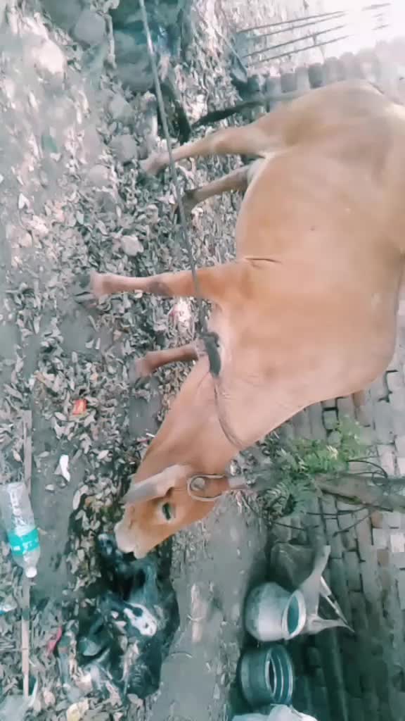 @jayakumar
