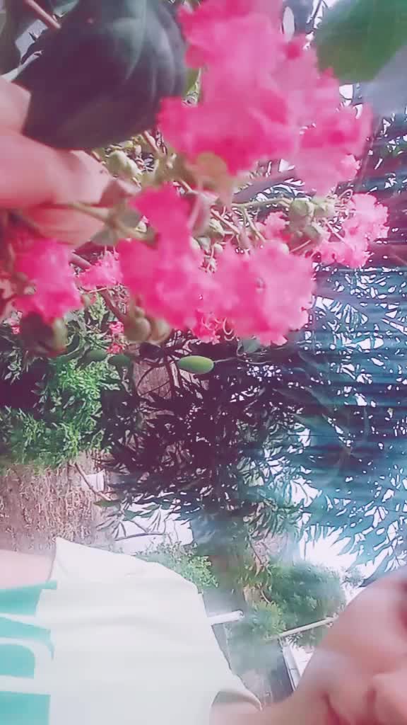 @Barkha kaul 🌹