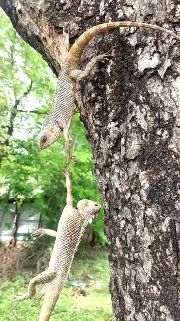 @jayshukla161