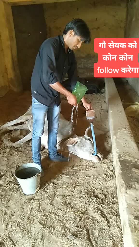 @sainiajeet390