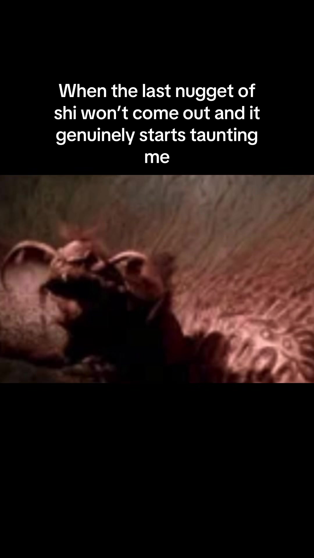 @Joe