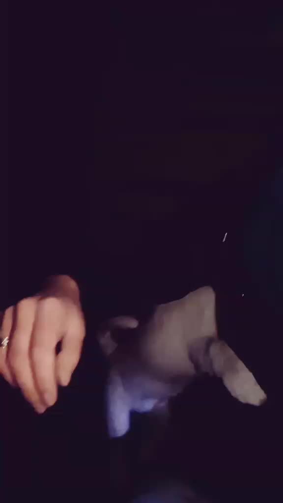 @sevil1903