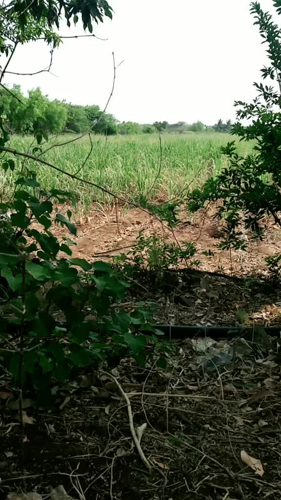 @Bajarangi
