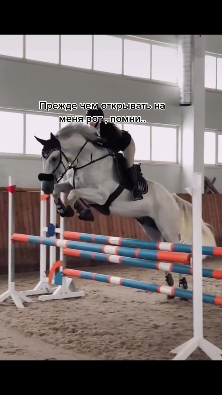 @horse riders