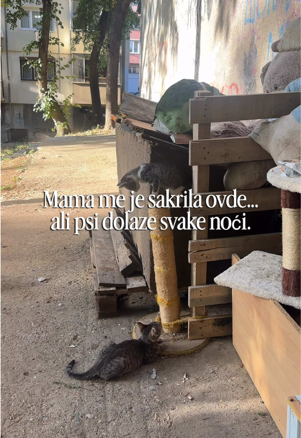 @cosanostrapurr