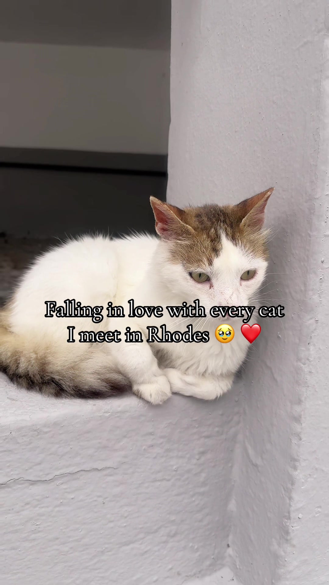 @Kareema 🏴󠁧󠁢󠁳󠁣󠁴󠁿