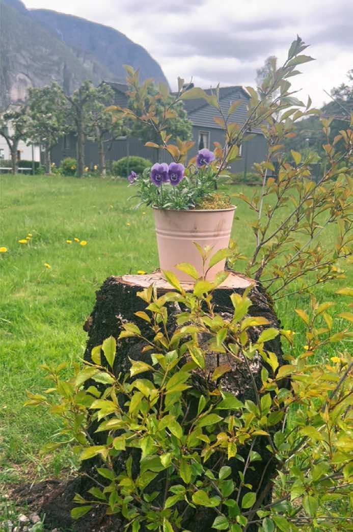@Tiktok_with_linda