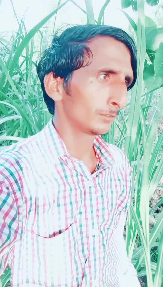 @Ankit