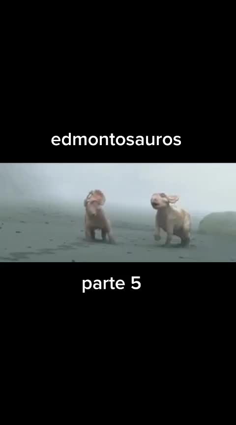 @Alex 🦴
