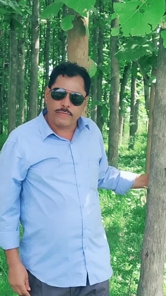 @alinawaz 7866