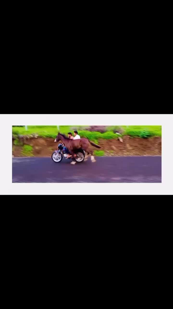 @@jadejajayrajsinh33