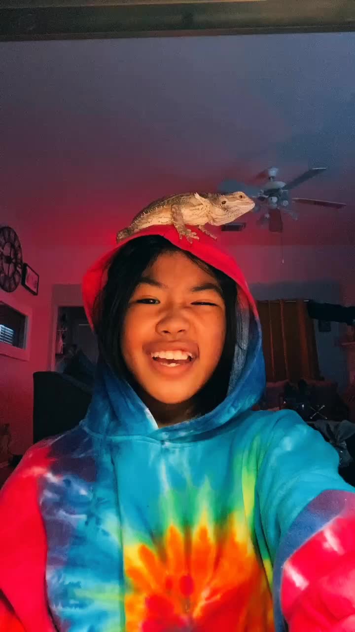 @a e a t h e t i c