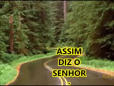 @Vanessa Camargo