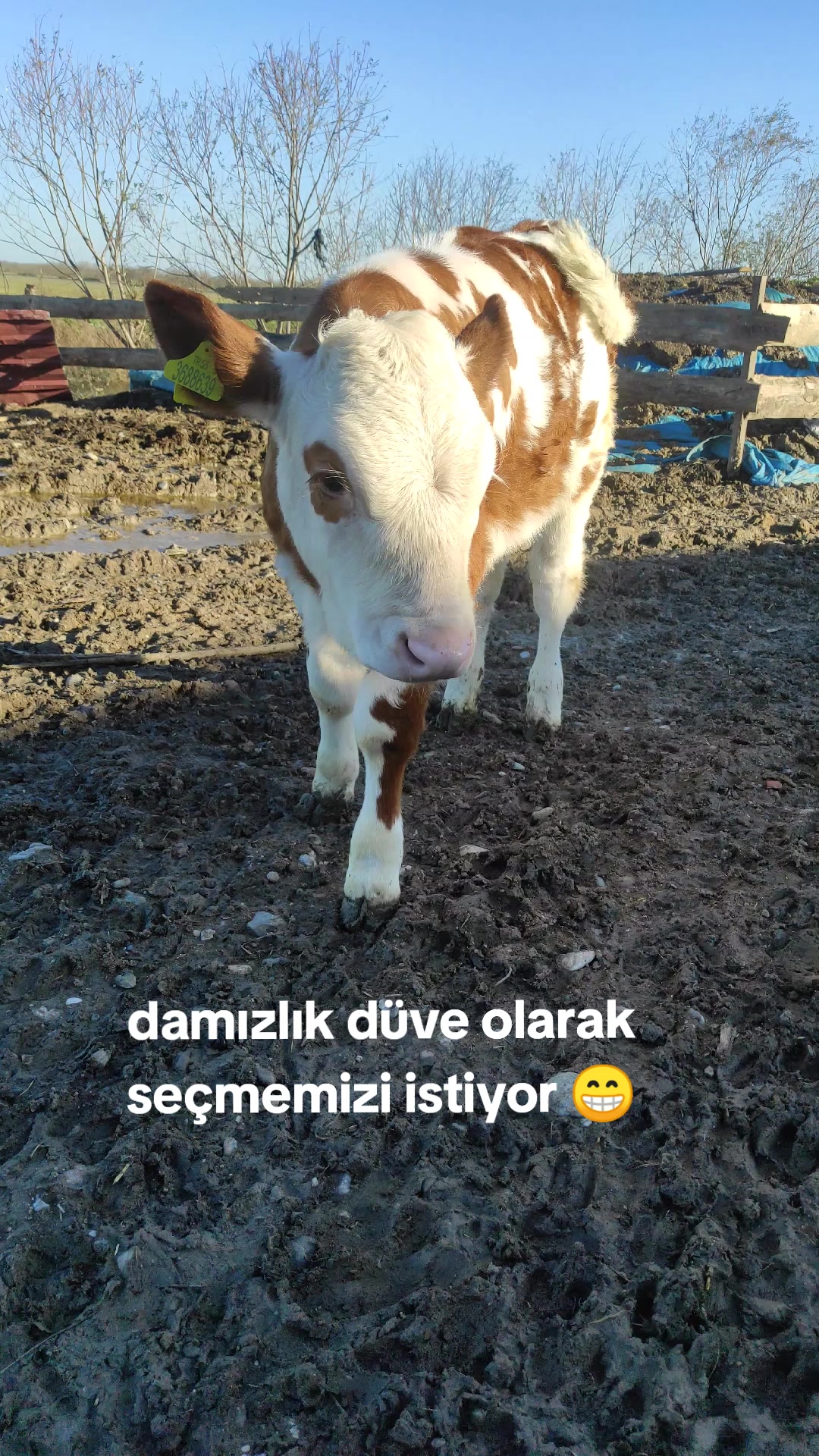 @Emir