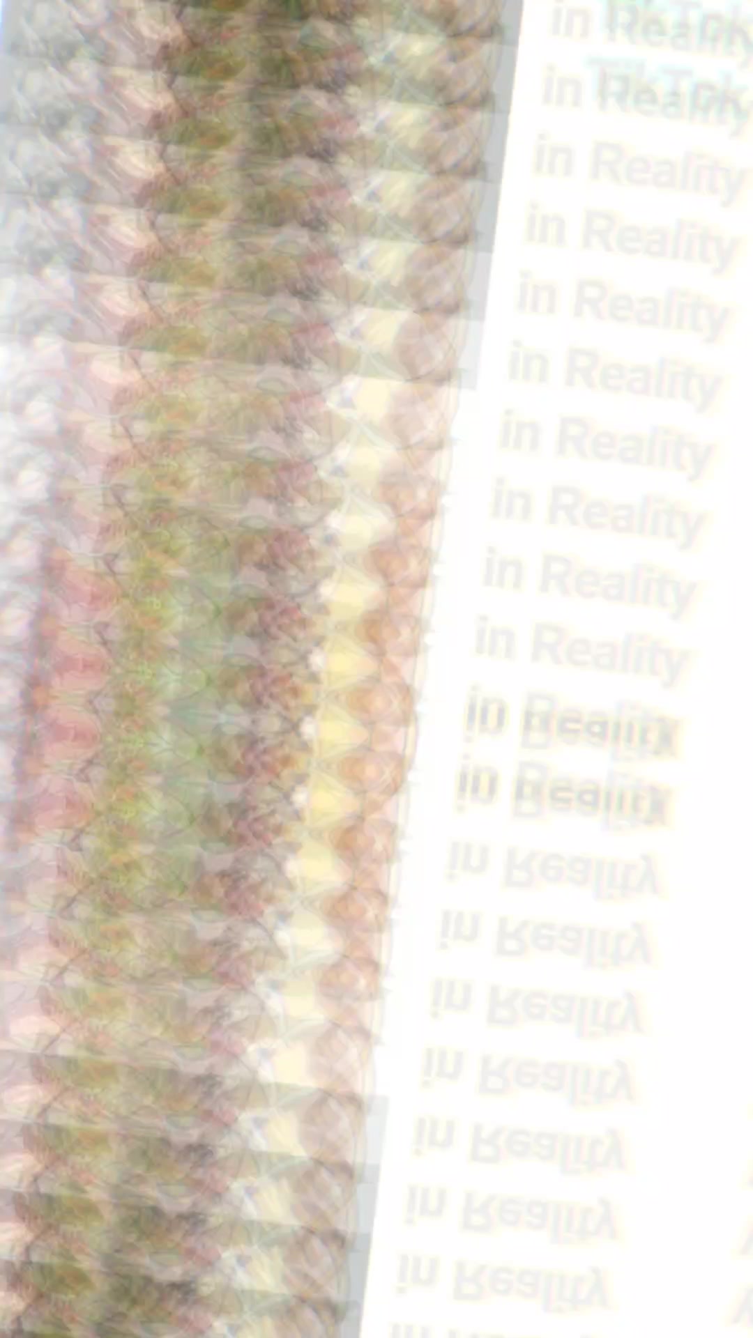 @Elamite🟥🟥⬜★⫚★ L𖣨R ★⫚★⬜🟨🟨