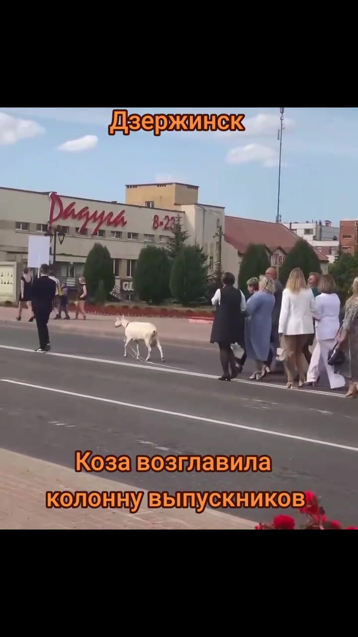 @Dzr.by - Новости Дзержинска
