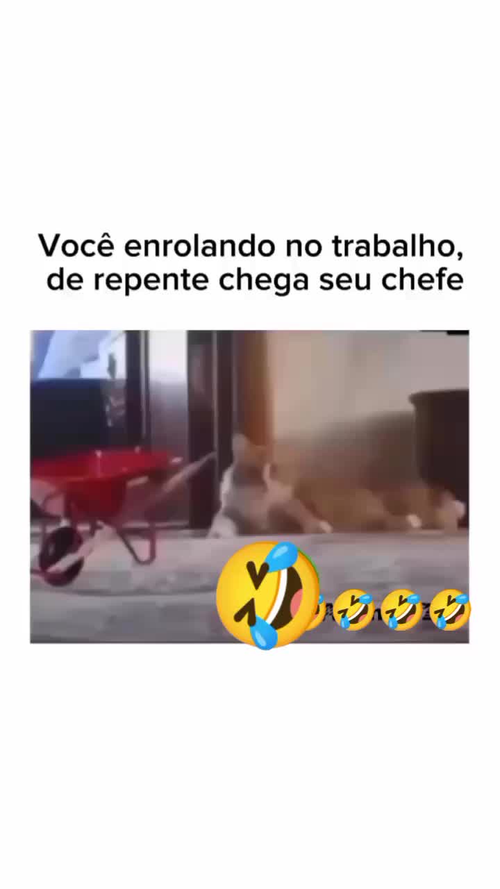 @adriano