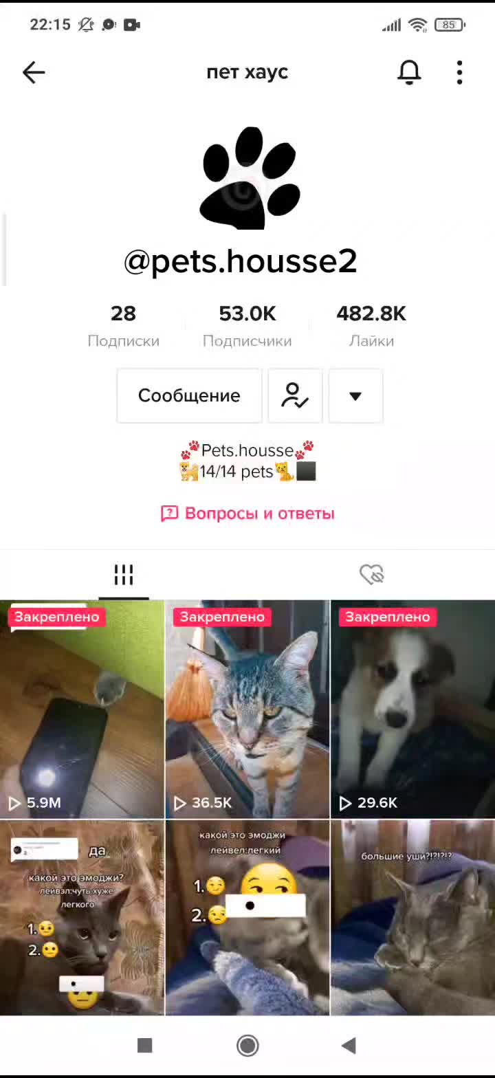 @котик Буба