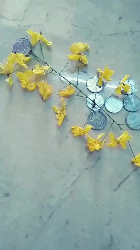 @AKashka66rockstar