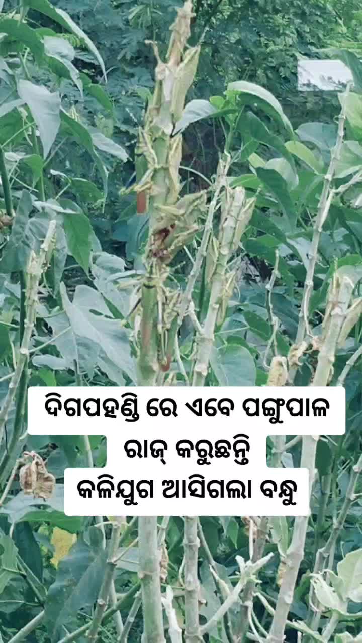 @Sethy Babu..