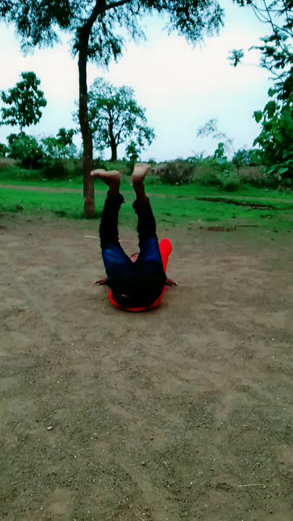 @जय सेवालाल
