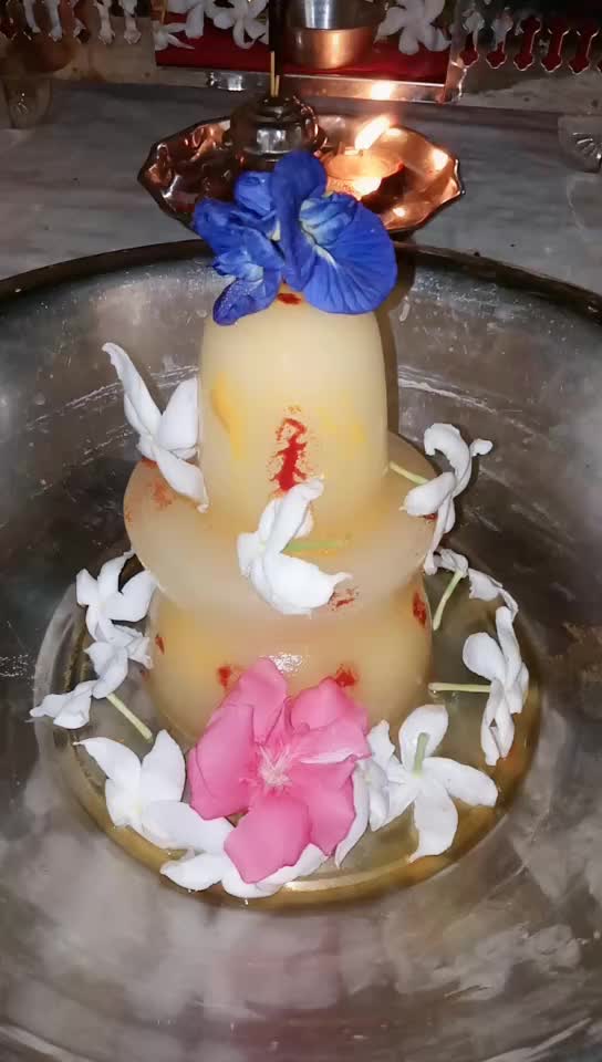 @gupaveeru