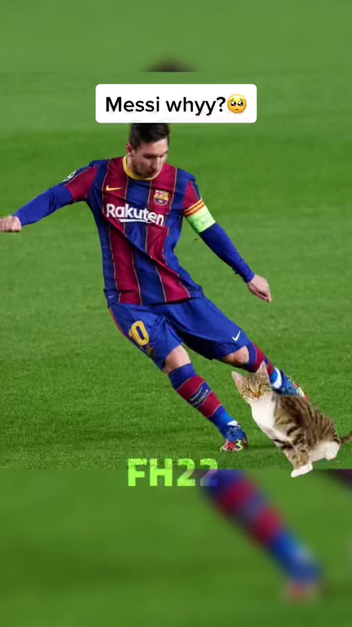 @FH22