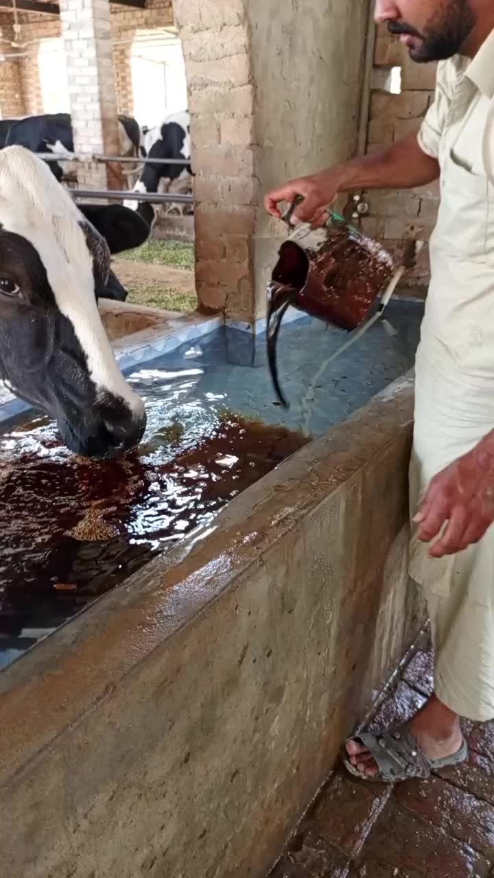 @Miandairyfarm