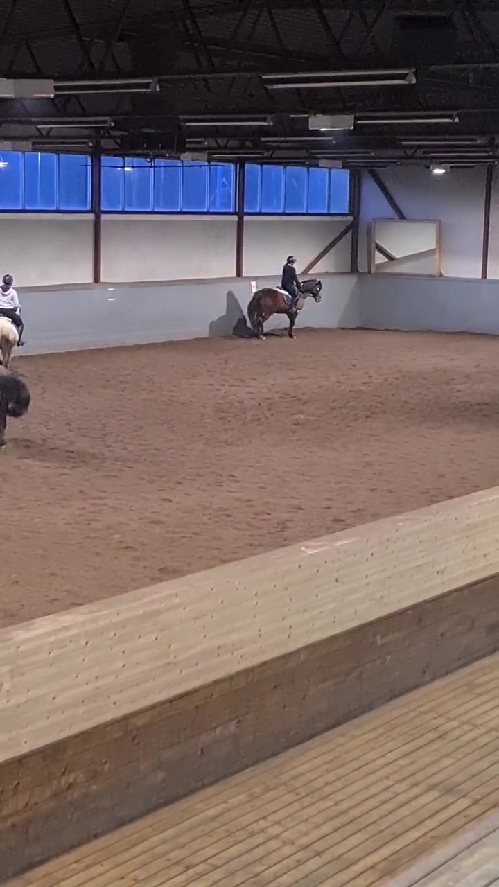 @🐎Ridning🐎 {3,8K}