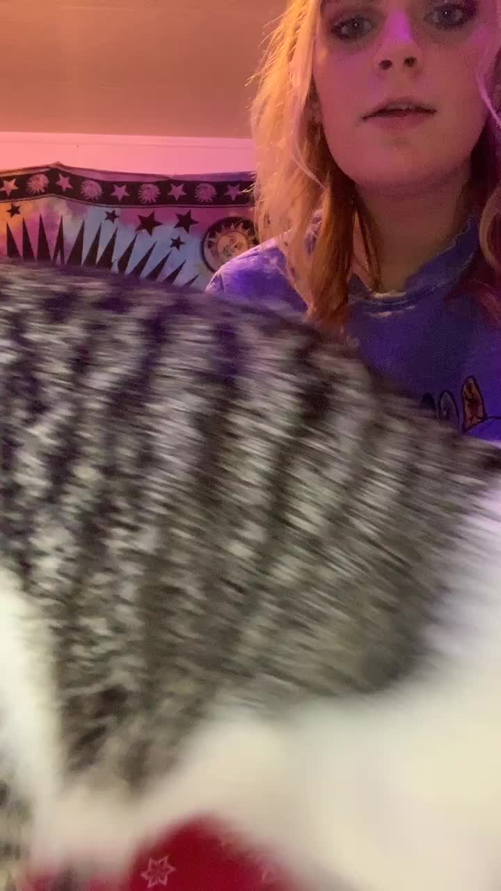 @Tay
