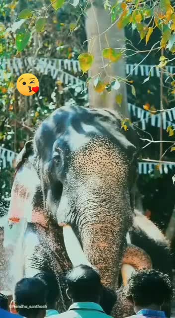 @bharathpmk321