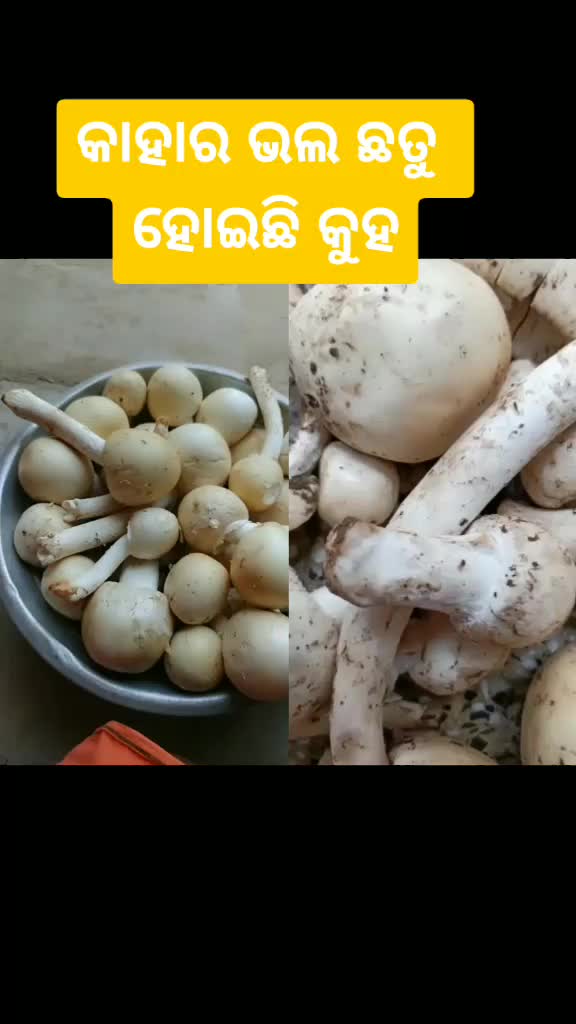 @Rajib Sahoo