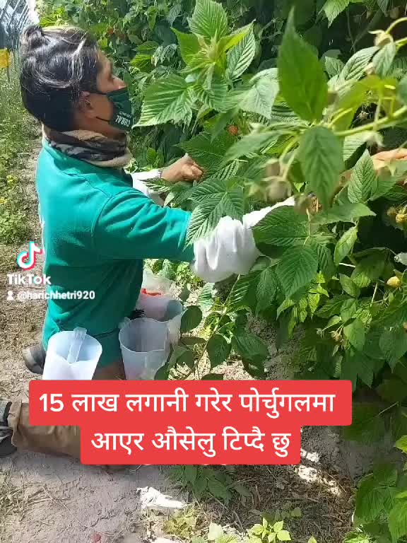 @Hari chhetri 1/3 GR 🇳🇵🇵🇹