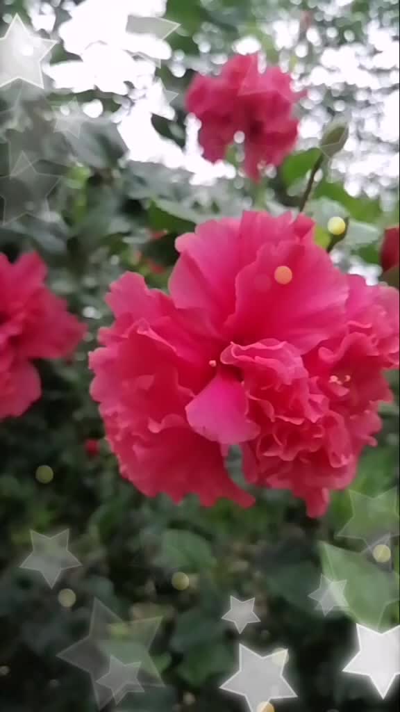 @Sardha143