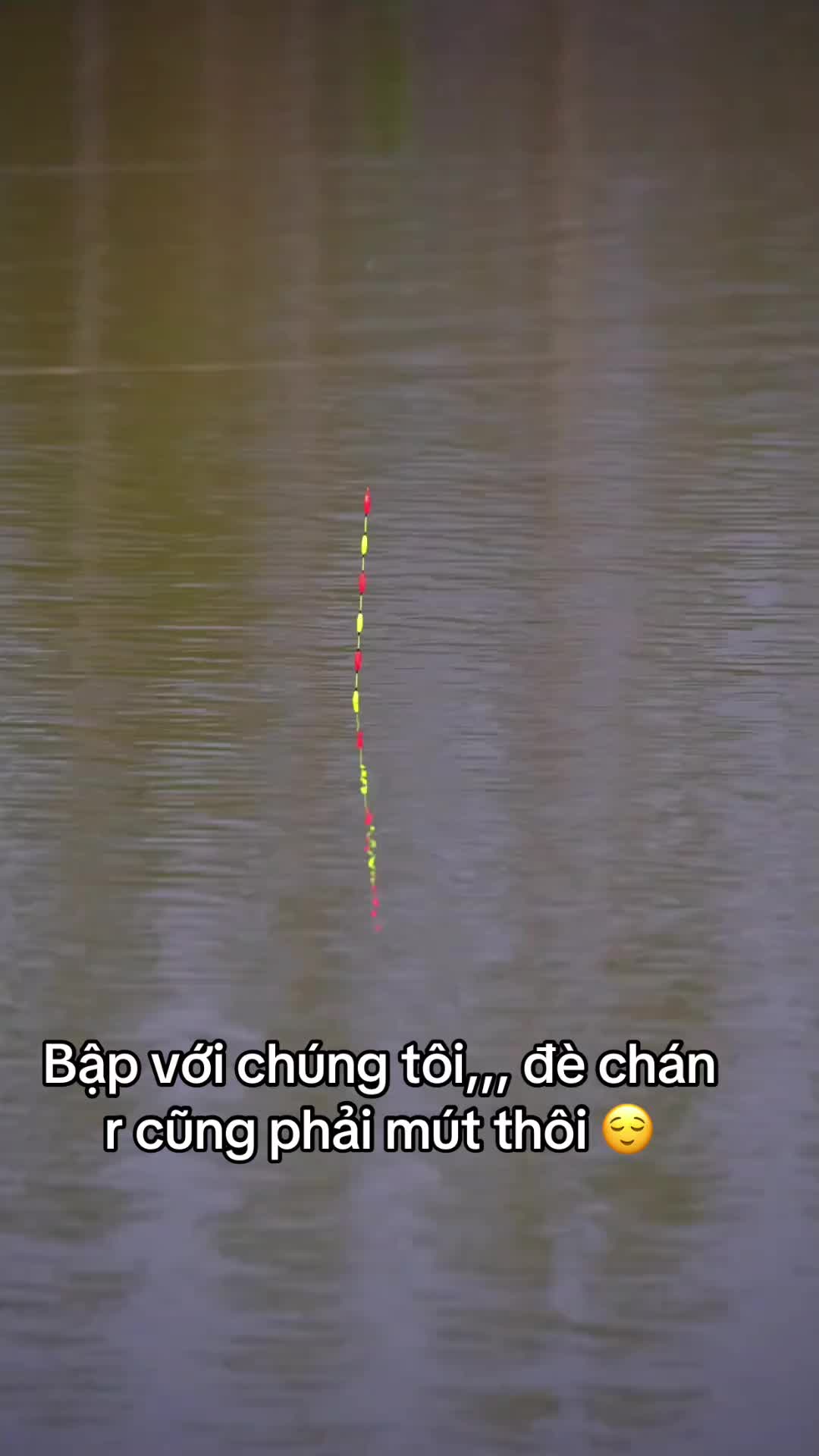 @Tụt l&agrave; vụt 🎣