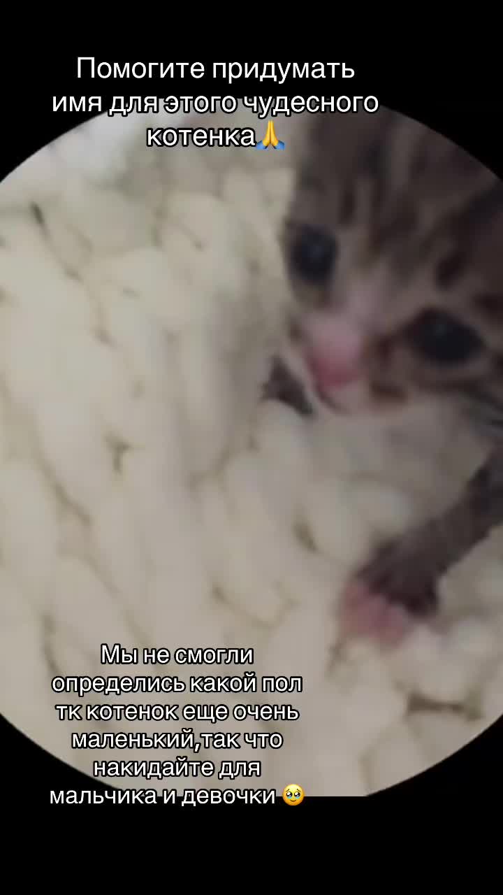 @﹆+ ଘ