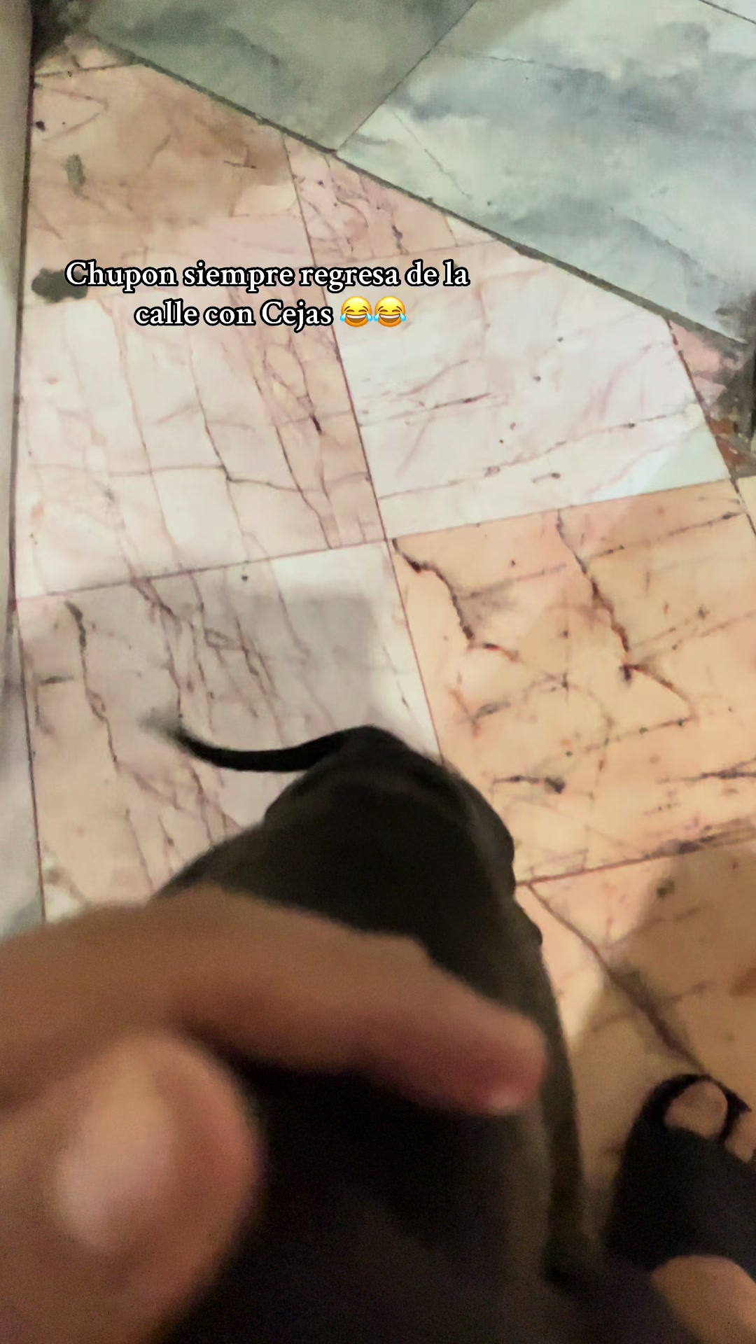 @HeyNaasho