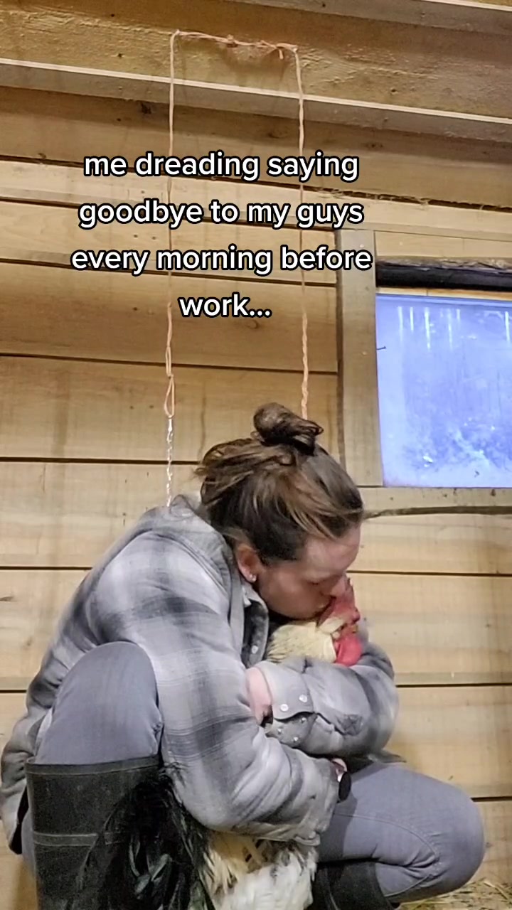 @alexlabaj