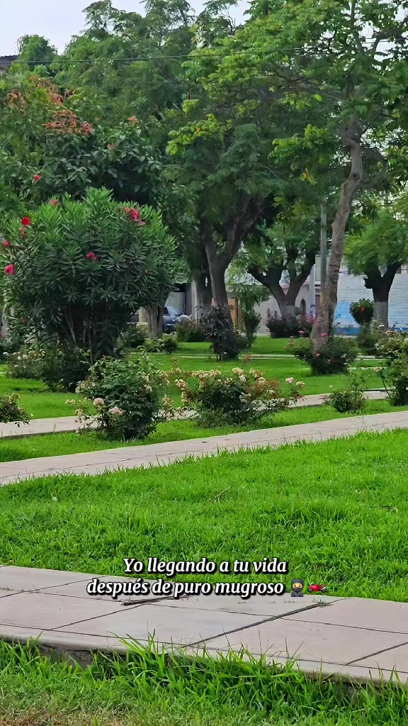 @𝑫𝒂𝒗𝒊𝒅_𝒃𝒊𝒌𝒆𝒓_𝒓𝒓➡️🏍