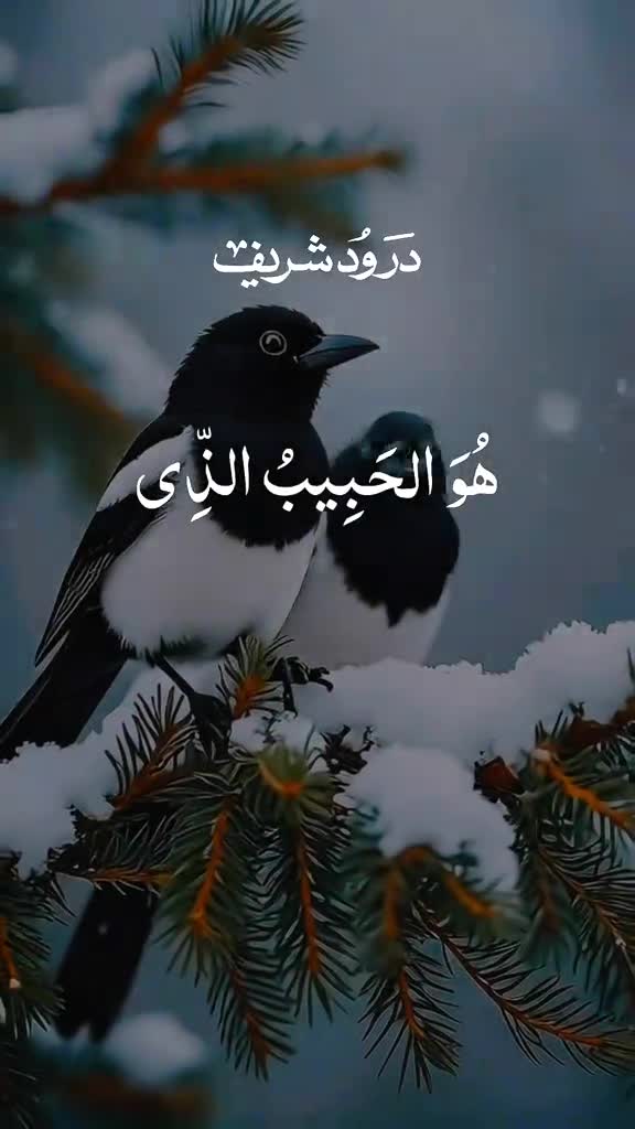 @Quran majeed