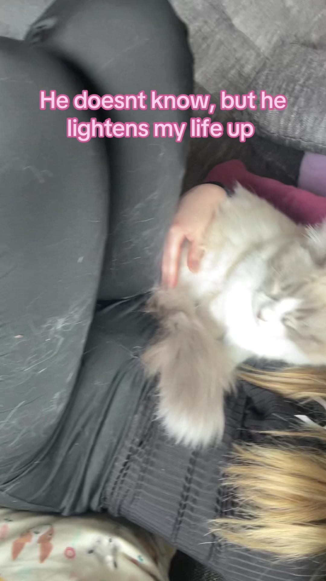 @totalmessforu