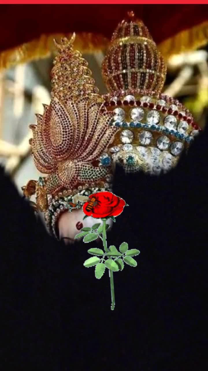 @princy rathore