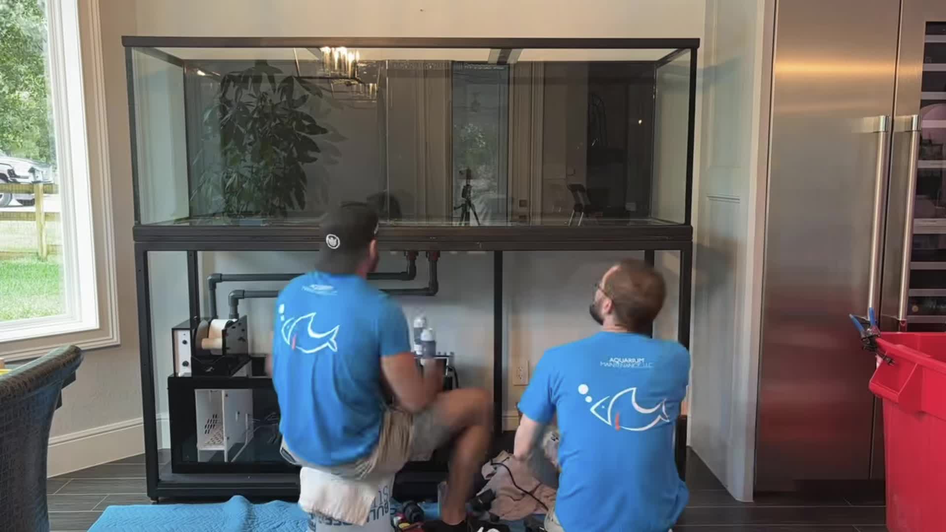 @aquarium_maintenance